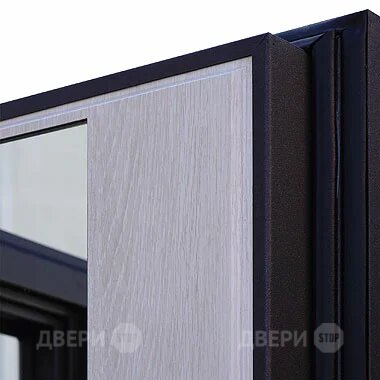 Входная металлическая Дверь Шелтер (SHELTER) Филадельфия Зеркало в Лосино-Петровский