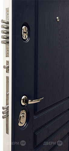 Входная металлическая Дверь Сударь МД-45 в Лосино-Петровский