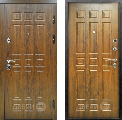 Входная металлическая Дверь Снедо Спарта 2К Винорит Темный дуб в Лосино-Петровский